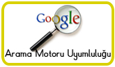 Google Uyumluluk